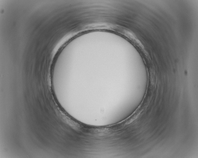 X0000079321328200612151807