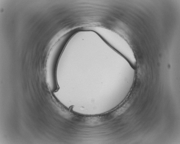 X0000079321332200612151807