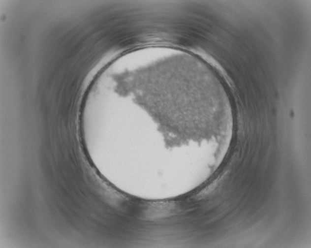 X0000079321333200612151807