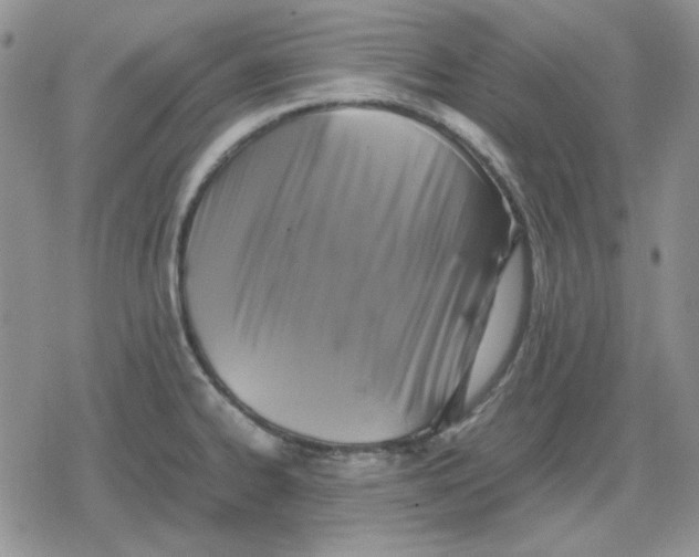 X0000079321334200612151807