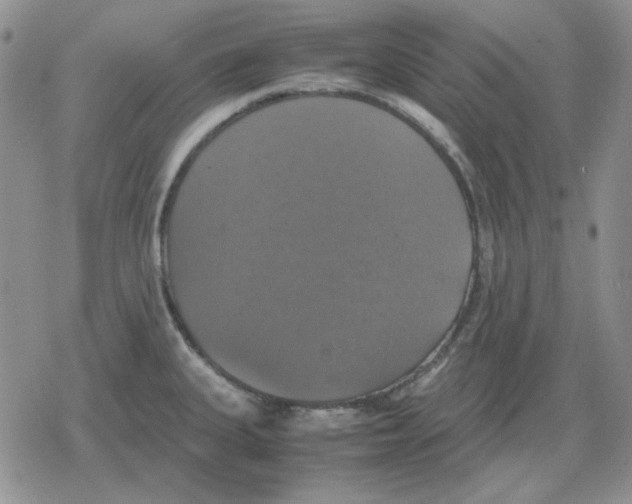 X0000079321335200612151807