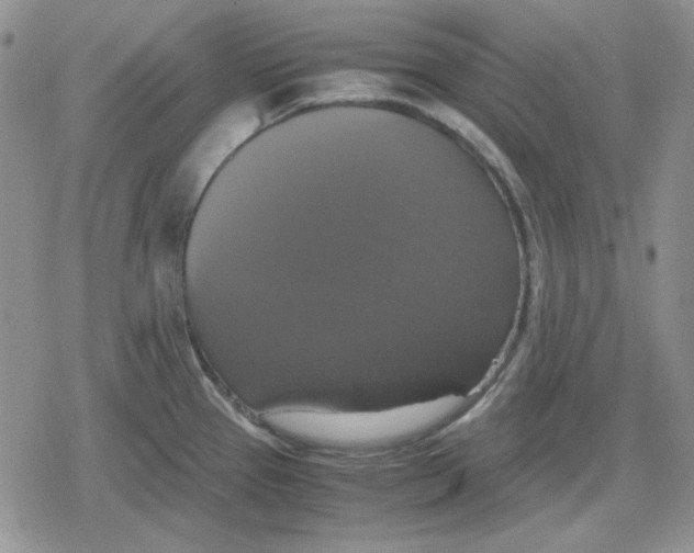 X0000079321337200612151807