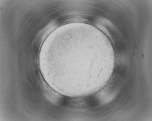 X0000079321338200612151807