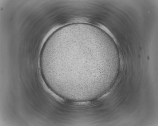 X0000079321339200612151808