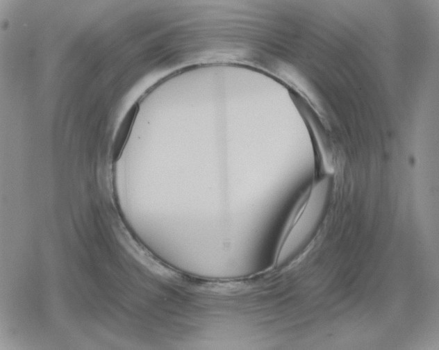 X0000079321340200612151808