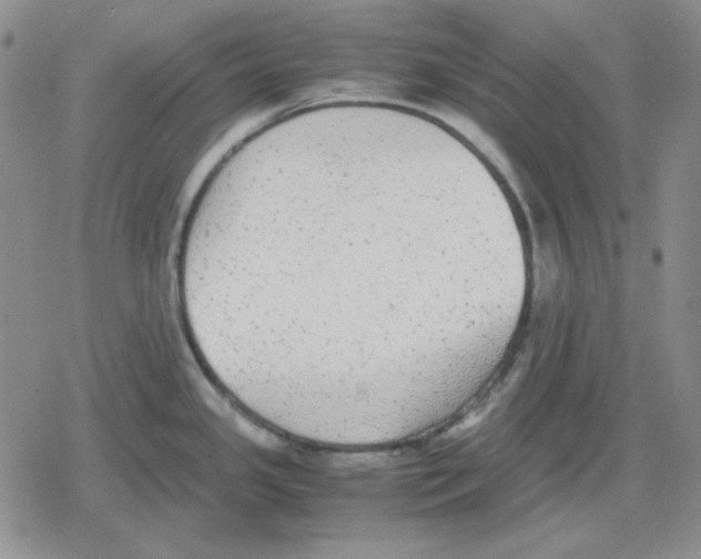 X0000079321341200612151808