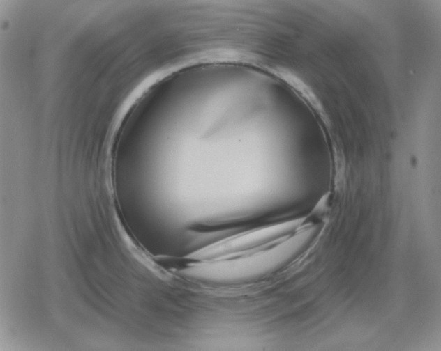 X0000079321342200612151808