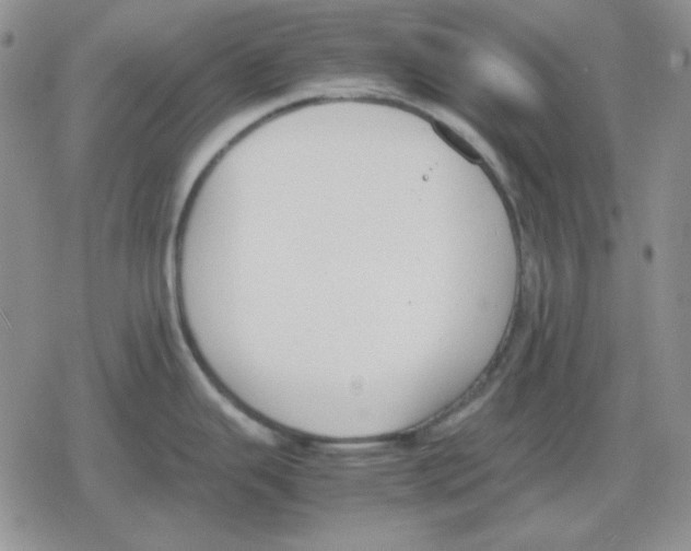 X0000079321343200612151808