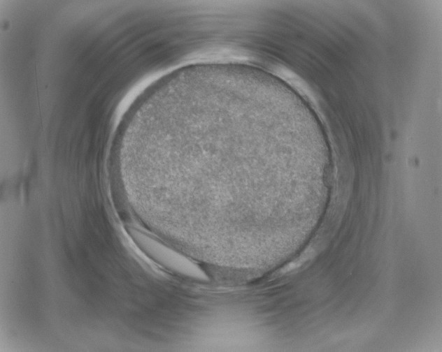 X0000079321344200612151808