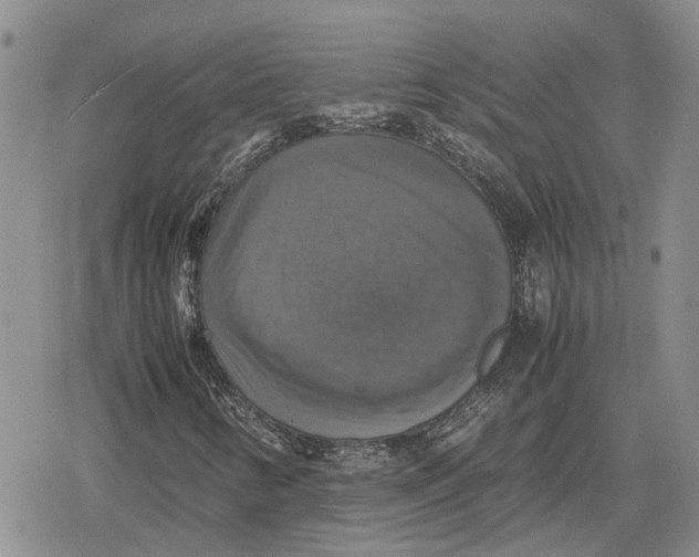 X0000079321346200612151807