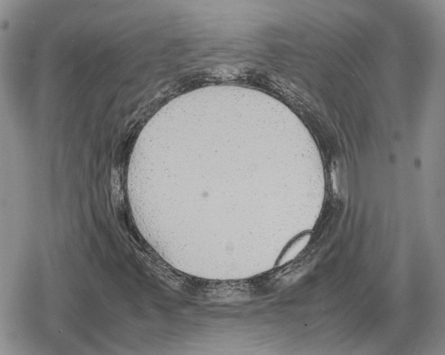 X0000079321347200612151807