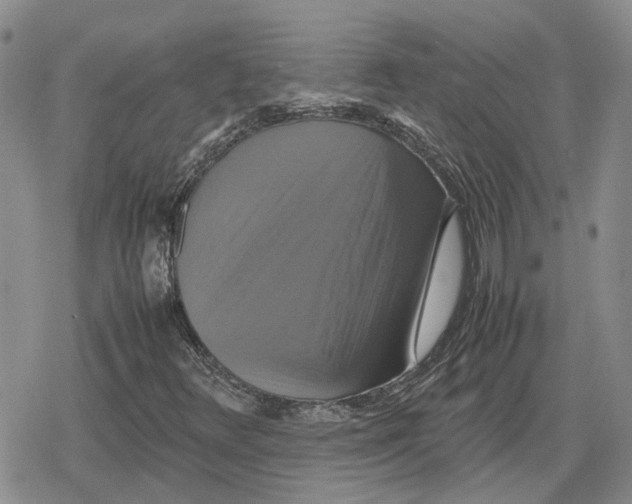 X0000079321348200612151807