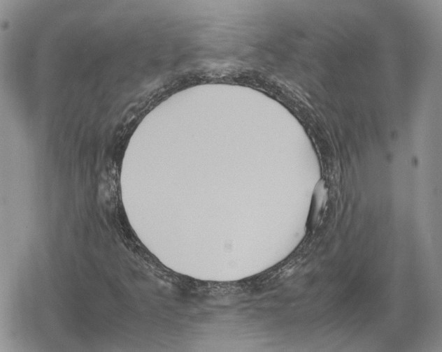 X0000079321349200612151807