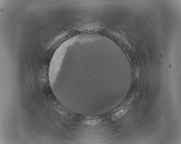 X0000079321350200612151807