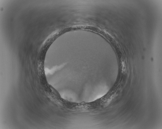 X0000079321351200612151807