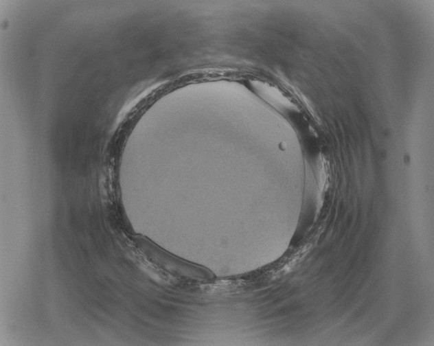 X0000079321352200612151807