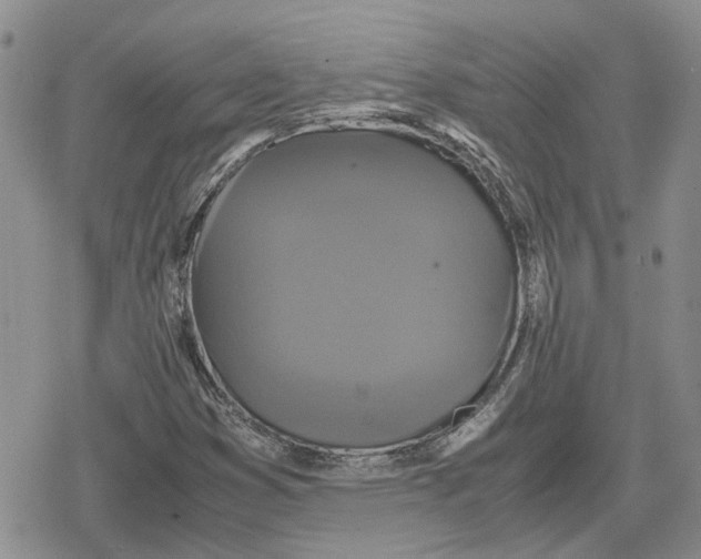 X0000079321353200612151807