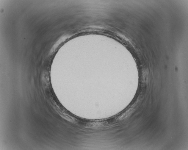 X0000079321355200612151807