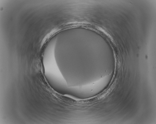 X0000079321357200612151807