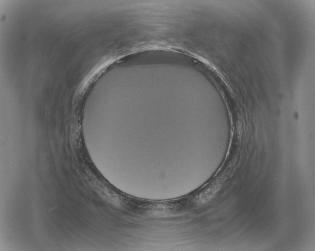 X0000079321359200612151807