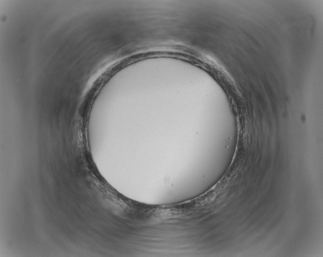 X0000079321360200612151807