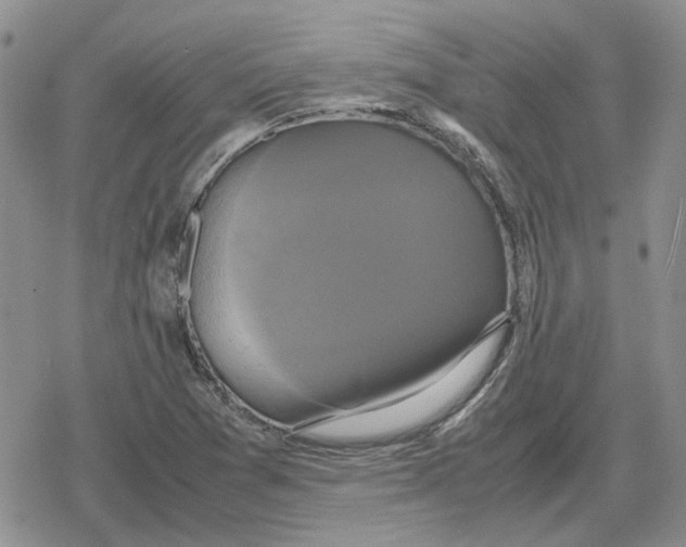 X0000079321361200612151807