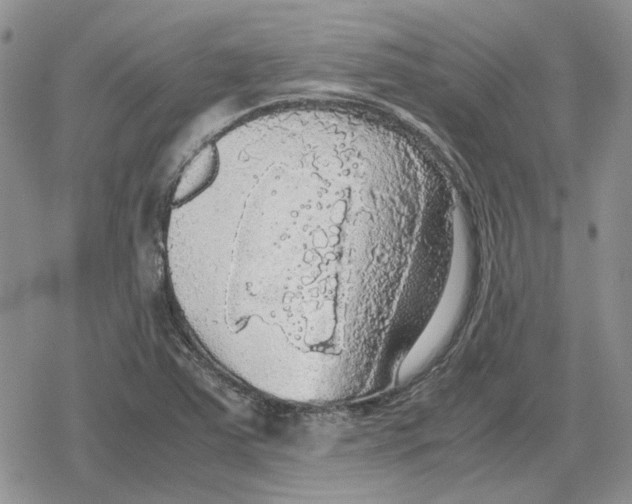 X0000079321363200612151807