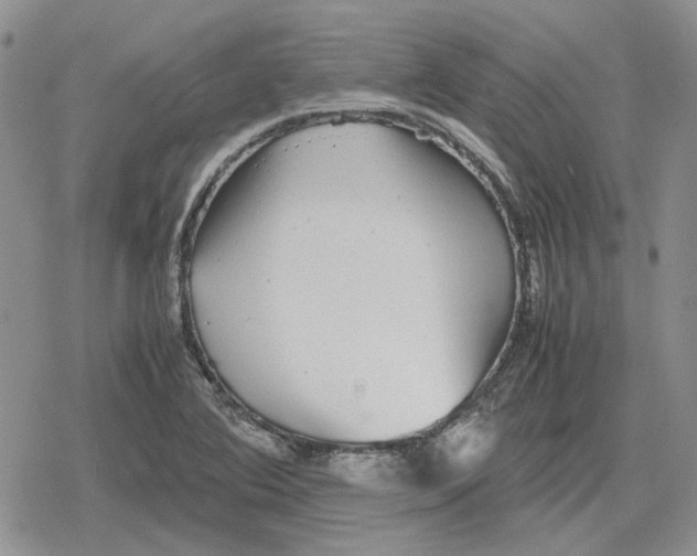 X0000079321364200612151806