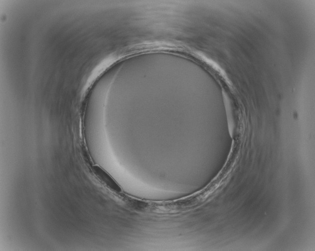 X0000079321365200612151806