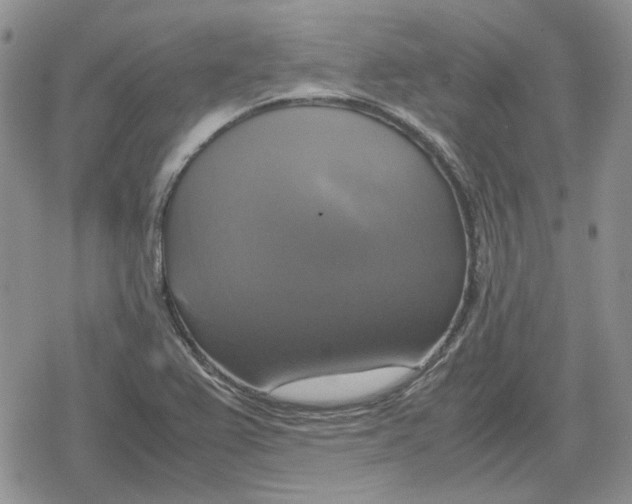 X0000079321367200612151806