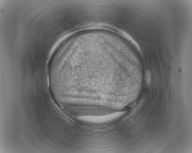 X0000079321368200612151806