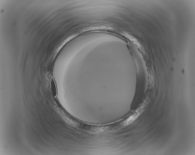 X0000079321369200612151806