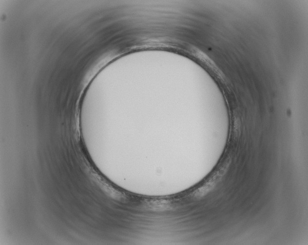 X0000079321370200612151806