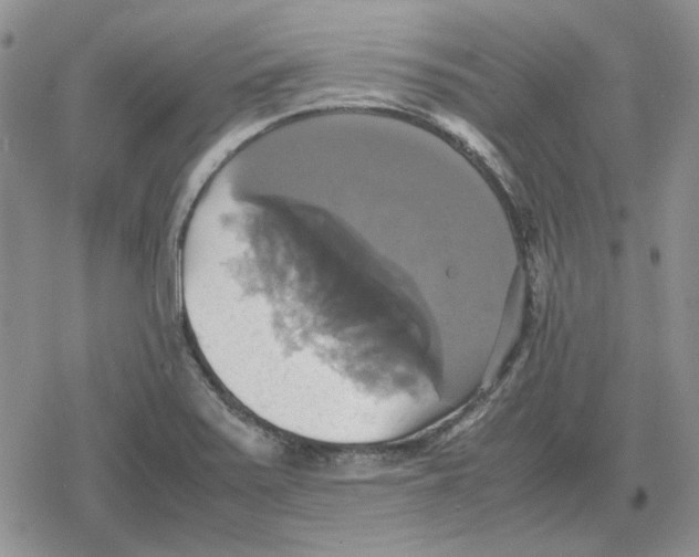 X0000079321371200612151806