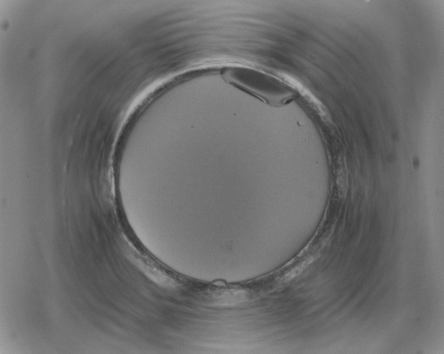 X0000079321372200612151806