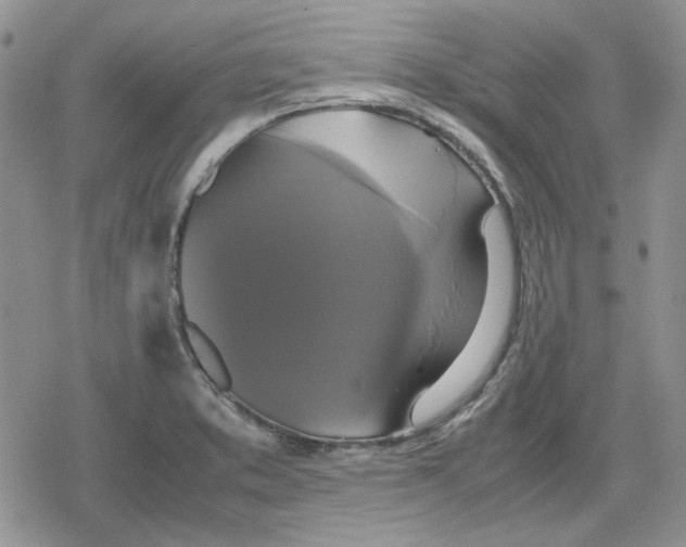 X0000079321373200612151806