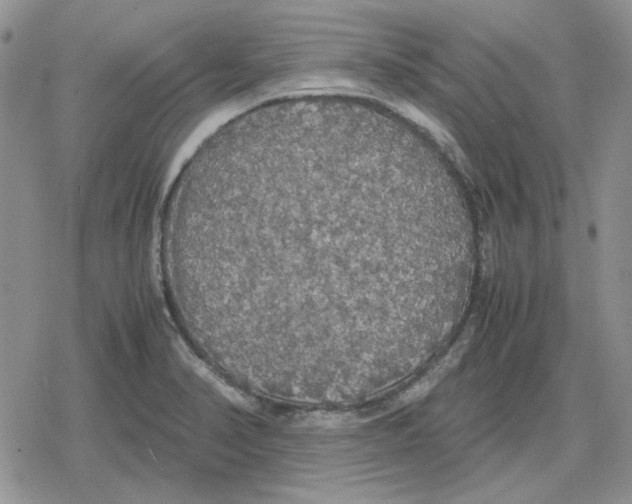 X0000079321374200612151806