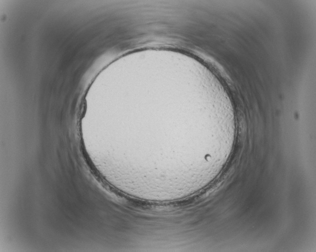 X0000079321375200612151806