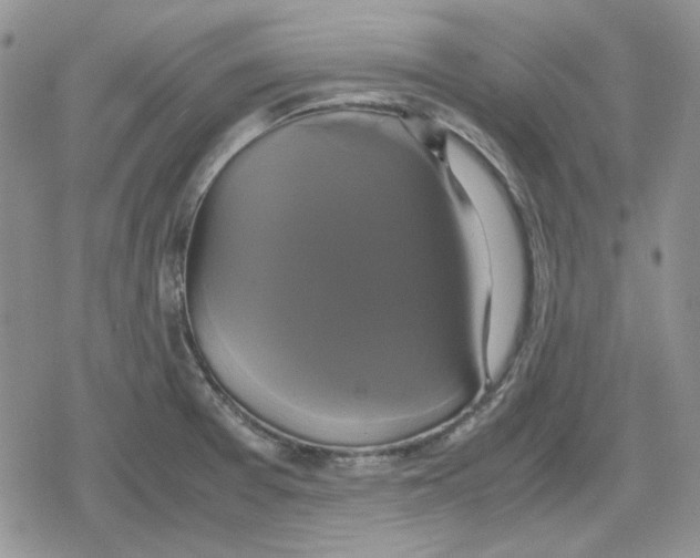 X0000079321377200612151806