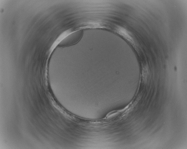 X0000079321378200612151806