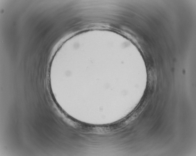 X0000079321379200612151806