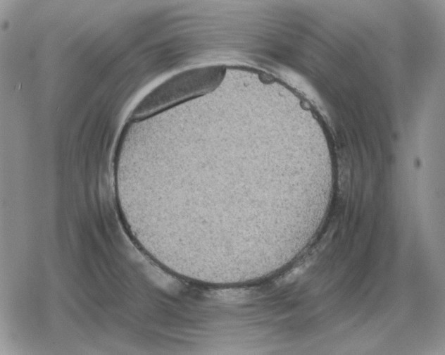 X0000079321380200612151806