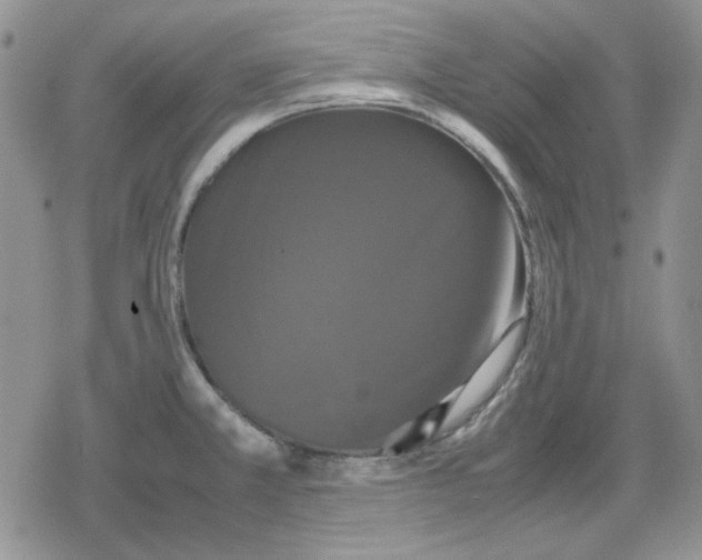 X0000079321381200612151806