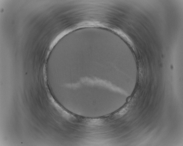 X0000079321382200612151806