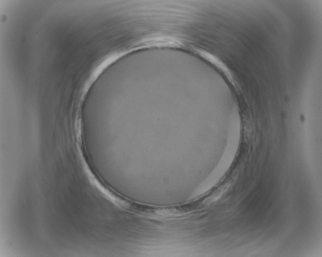 X0000079321383200612151806