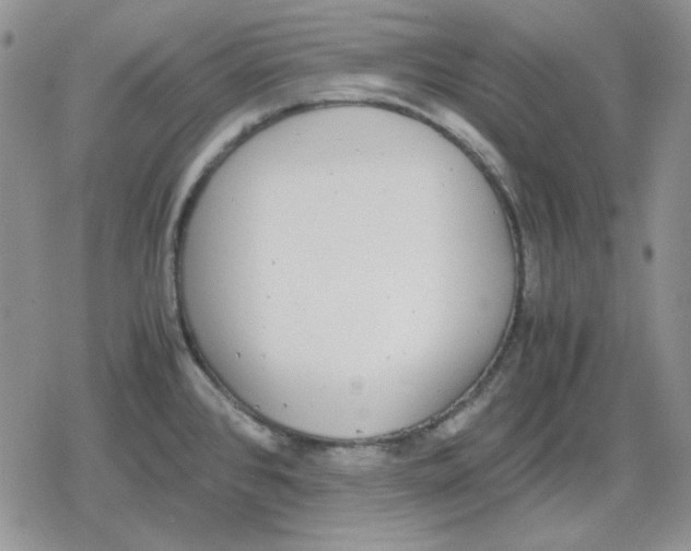 X0000079321384200612151806