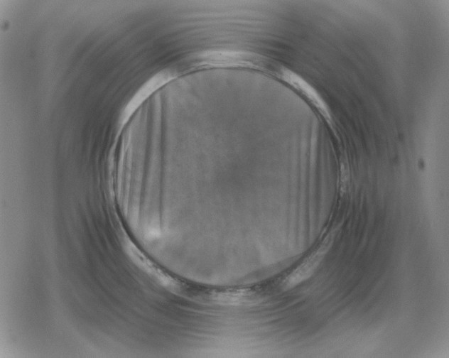 X0000079321386200612151806