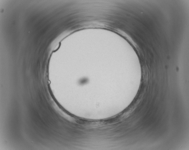 X0000079321387200612151806