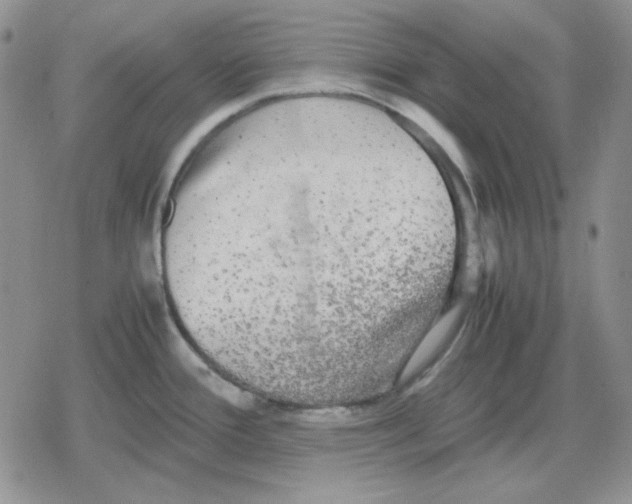 X0000079321388200612151806