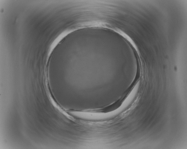 X0000079321389200612151806